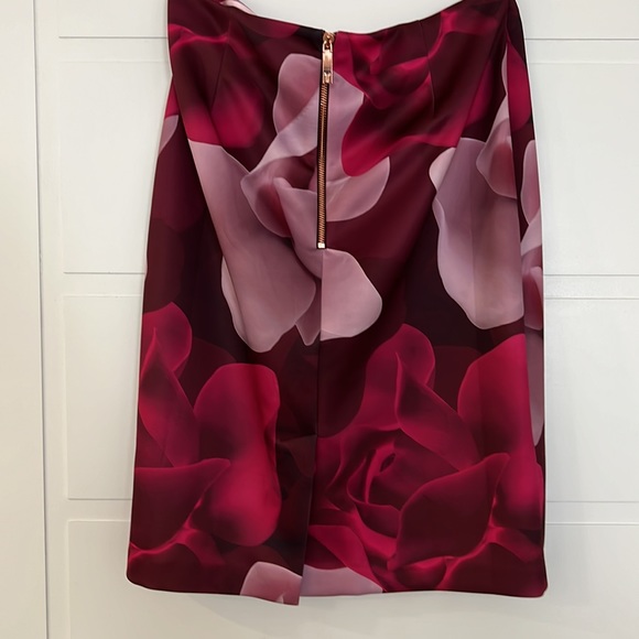 Limited addition Ted Baker Skirt Size 4 brand new. - Picture 4 of 5